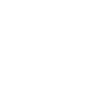 dcs_icon_04.png